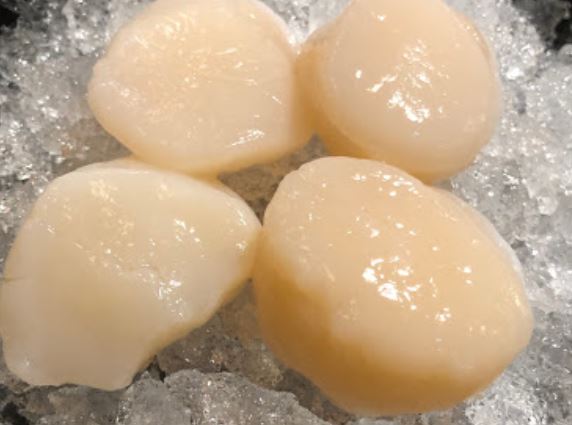 食材餐點照片11